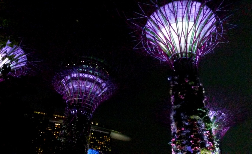 Night at Supertree Groves @ Gardens by the Bay